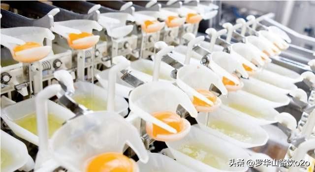 欧福蛋业，全产业链禽蛋业务的领先者，专注新鲜、营养、安全的高品质蛋品