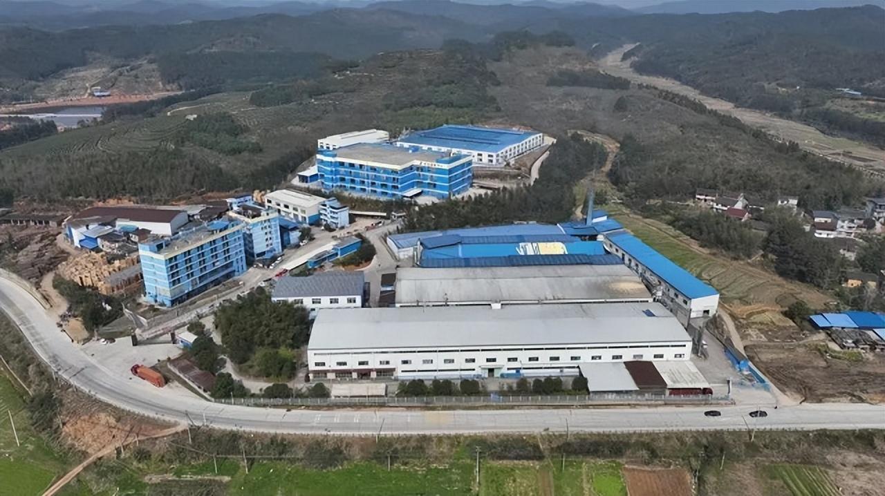 龙竹科技，竹基新材料与制品的研发与生产领军者，推动绿色消费与可持续发展
