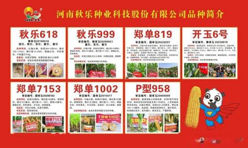 秋乐种业，专注种业领域，提供优质种子与服务，助力中国农业科技创新与品质提升。