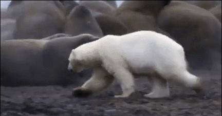 成大生物是一家主要从事疫苗研发、生产和销售的生物科技公司。以下是关于成大生物的一些详细信息
