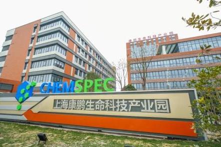 康鹏科技，精细化学品及中间体研发生产的行业佼佼者，致力于技术创新与可持续发展