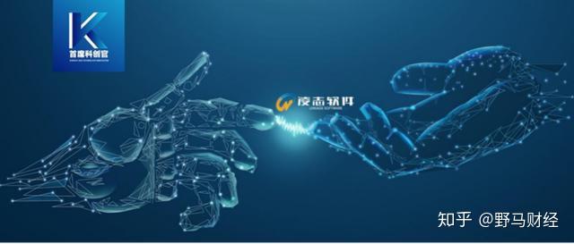 凌志软件，全面IT解决方案的领先者，专注于软件开发与硬件运行维护服务的企业