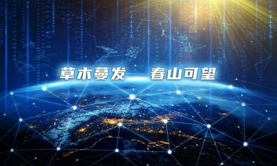 震有科技是一家创新型科技公司，专注于提供全面的解决方案和服务，以推动数字化转型和智能化升级。以下是关于震有科技的一些详细信息