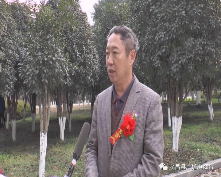 汇成股份，电子元器件制造与销售领先企业
