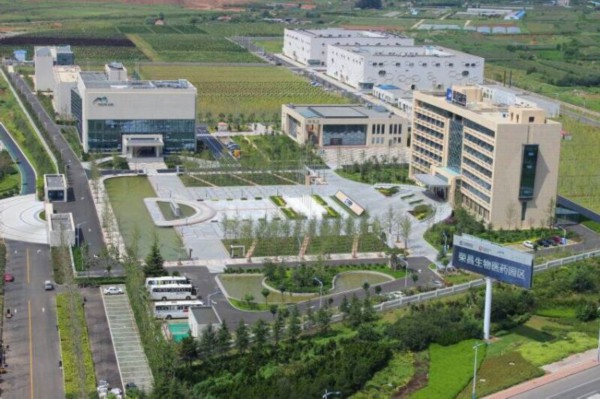 荣昌生物是一家专注于生物医药领域的公司，主要涉及抗体药物、疫苗和基因治疗等方向。以下是关于荣昌生物的详细介绍