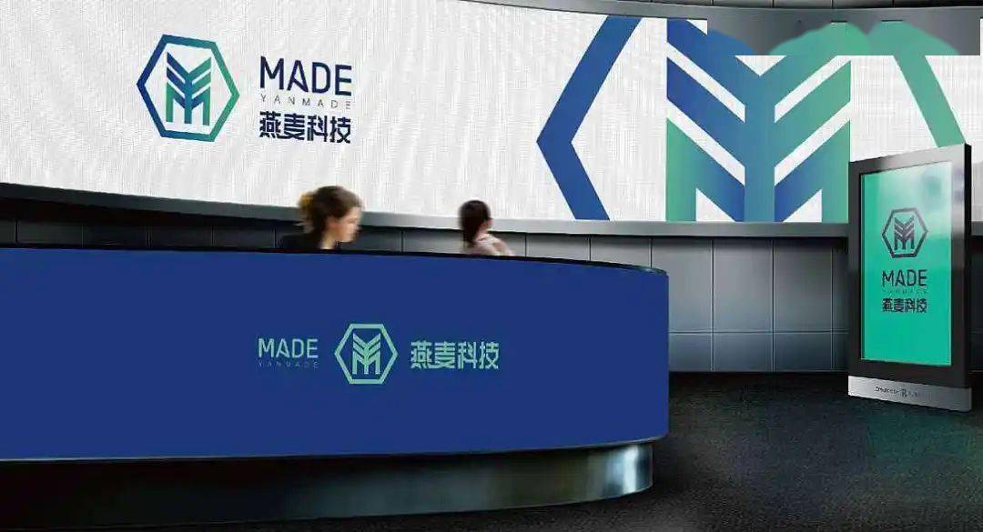 燕麦科技是一家专注于互联网技术研发和应用的公司，致力于为客户提供全方位的互联网解决方案。以下是关于燕麦科技的详细介绍