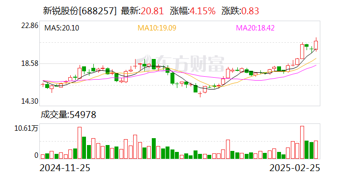 新锐股份，即新锐科技集团，成立于上世纪九十年代，是一家专注于电子制造服务的企业。该公司致力于为客户提供全方位的电子制造服务，包括电子设计、生产制造、物料采购、技术支持等一站式服务。经过多年发展，新锐股份已经积累了丰富的经验和技术实力，并在业界树立了良好的口碑。