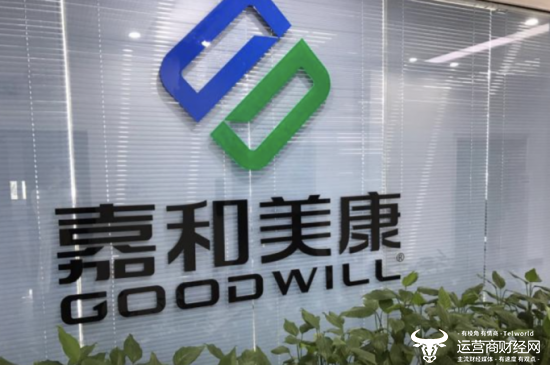 嘉和美康是一家专注于云计算和大数据的企业，致力于提供大数据平台架构咨询、大数据云原生平台研发、大数据平台运营运维等解决方案和服务。该公司拥有成熟的产品线，包括大数据处理平台、大数据管理平台等，并具备丰富的技术实力和行业经验积累。此外，嘉和美康也在网络安全领域有所涉猎，提供网络安全相关的产品和服务。