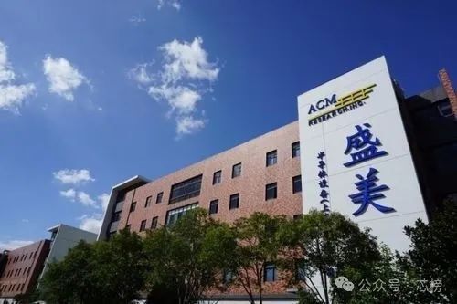 盛美上海是一家提供半导体装备和工艺解决方案的公司，成立于上海自贸试验区临港新片区，专注于半导体产业设备及工艺技术的研发和创新。以下是关于盛美上海的一些详细信息