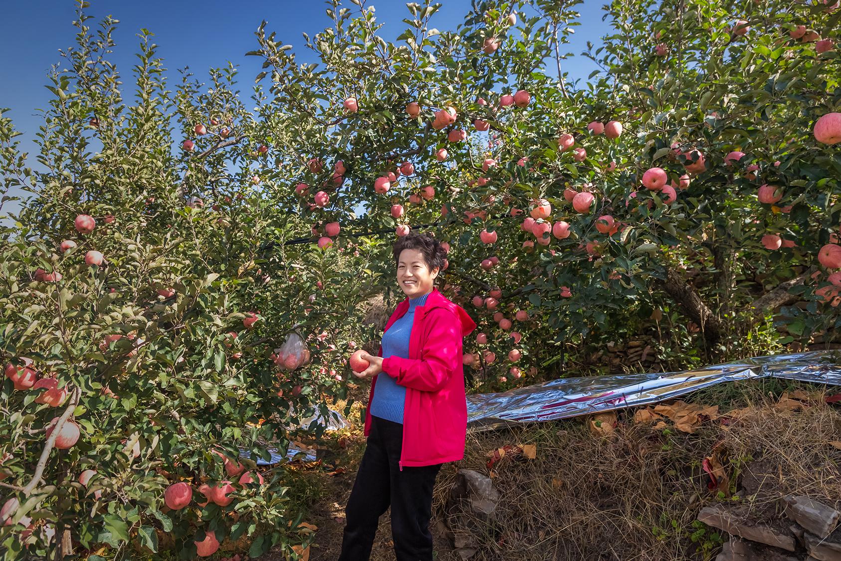 热景生物是一家在生物医药领域具有较强影响力的公司。其主要从事体外诊断试剂及仪器的研发、生产和销售，并专注于生物医药产业前沿技术的研发与应用。热景生物的产品包括多个系列的诊断试剂和诊断仪器，覆盖临床多个领域。该公司还涉及基因测序和精准医疗等领域，致力于提供更全面、个性化的医疗服务。