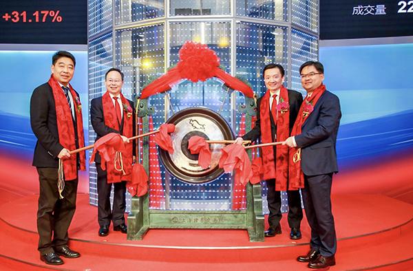 安恒信息，全面网络安全解决方案与服务的领先提供者