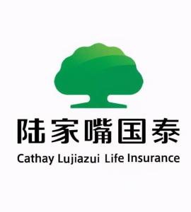 国泰集团全称为国泰创业投资集团，成立于上世纪九十年代，是一家多元化的企业集团。其主要业务领域涵盖金融投资与服务、健康产业、航空产业、信息技术及高端制造业等。集团旗下拥有国泰君安证券、国泰人寿保险等多家知名企业。此外，国泰集团还涉及其他多个产业，如国泰航空产业基金等。