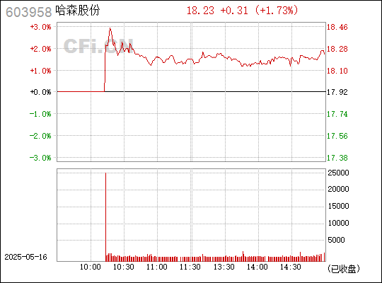 哈森股份，时尚舒适皮鞋品牌开发与销售的领先者