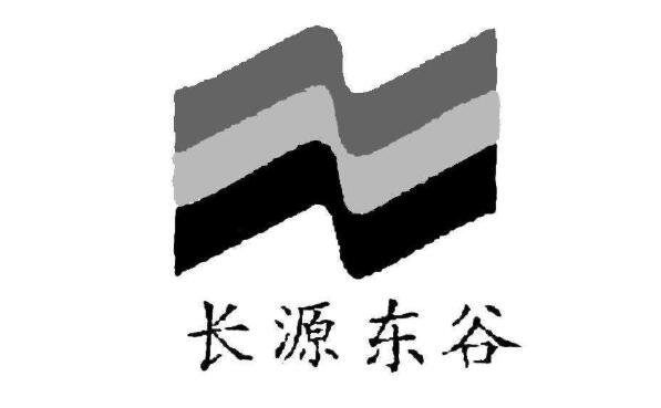 长源东谷是一家主要从事轨道交通装备产品及其零部件的研发、生产和销售的公司，主要产品包括轨道交通车辆配套零部件和轨道交通专用设备配套零部件两大类。该公司拥有先进的生产技术和设备，致力于为客户提供高品质的产品和服务。此外，长源东谷还积极拓展新能源领域业务，致力于为客户提供更加全面的解决方案。