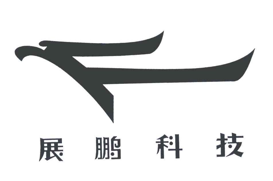 展鹏科技，云计算、大数据与人工智能领域的领先高新技术企业