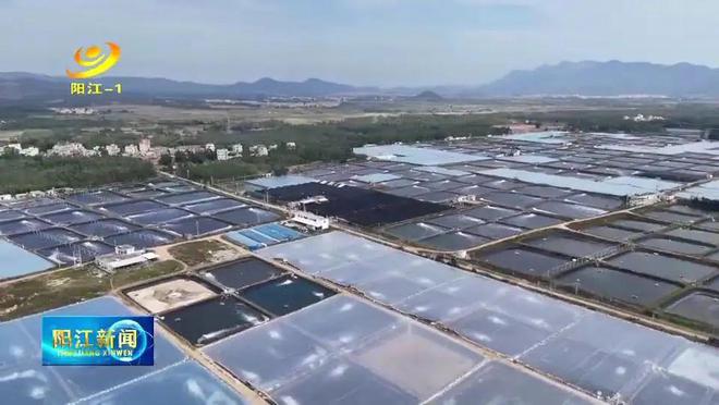 镇洋发展是一个涉及多个领域的发展计划，包括经济、社会、环境等多个方面。具体的发展内容和方向可能会因地区、政策和资源等因素而有所不同。