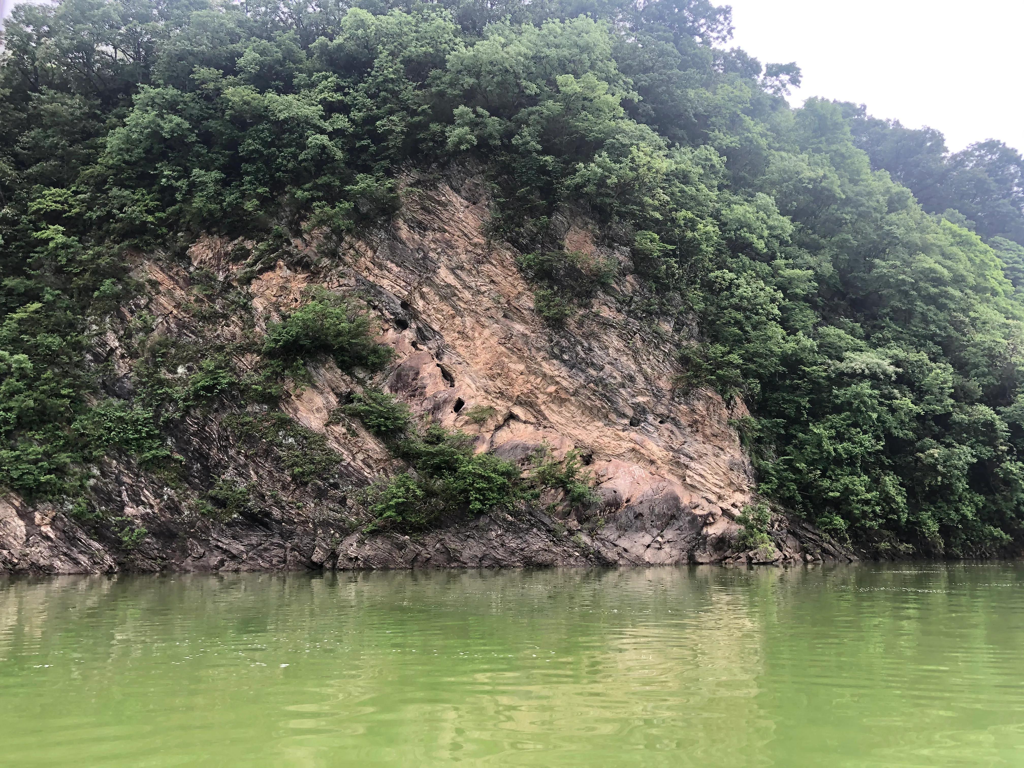 迎驾贡酒是安徽省霍山县的特产，属于浓香型白酒。迎驾贡酒以优质的高粱、大米、糯米、小麦、玉米等五种粮食为原料，采用传统酿造工艺和现代技术相结合，经过多次发酵、蒸馏、贮存等工序精制而成。这种白酒具有醇厚绵甜、回味悠长的特点，深受消费者喜爱。此外，迎驾贡酒的外包装精美，适合作为礼品赠送亲朋好友。