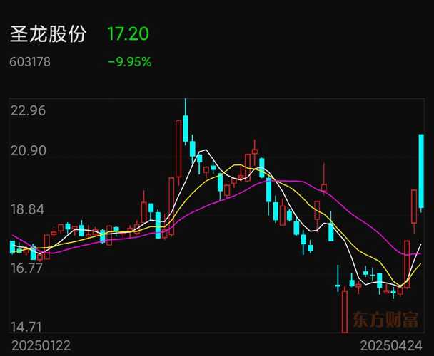 圣龙股份，汽车关键零部件研发制造领域的佼佼者，专注新能源汽车零部件创新