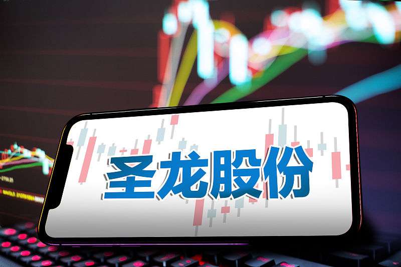 圣龙股份是一家专注于汽车关键零部件的研发、制造和销售的公司。该公司成立于上世纪九十年代，经过二十余年的发展，已经具备了较强的技术实力和制造能力。圣龙股份的主要产品包括汽车发动机零部件、底盘零部件以及传动零部件等，广泛应用于汽车制造领域。此外，圣龙股份还致力于新能源汽车零部件的研发和制造，为新能源汽车的发展做出贡献。