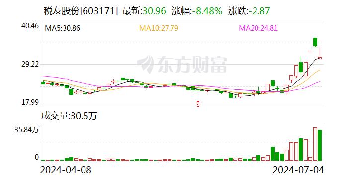 税友股份是一家专注于为财税领域企业提供全方位解决方案的企业。其主要业务包括为财税企业提供技术支持和服务，以及开发相关的软件和平台。以下是关于税友股份的一些详细信息