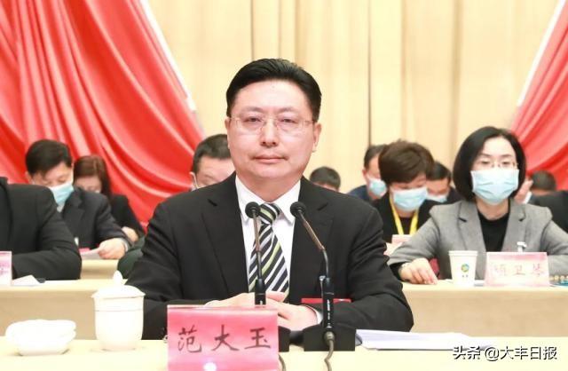 大丰实业，多元领域经验与卓越成就的企业巨头标题建议，大丰实业，涵盖环保、高端装备、金融与新能源的卓越企业