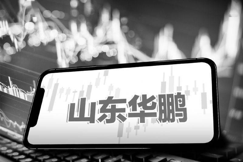 山东华鹏是一家在玻璃行业拥有较高知名度的企业，其主要业务包括生产和销售各种规格的玻璃瓶。该公司位于山东省的多个城市，拥有现代化的生产线和先进的生产技术，以确保产品质量和交货时间的可靠性。此外，山东华鹏还致力于研发新的玻璃制品，以满足不同客户的需求。