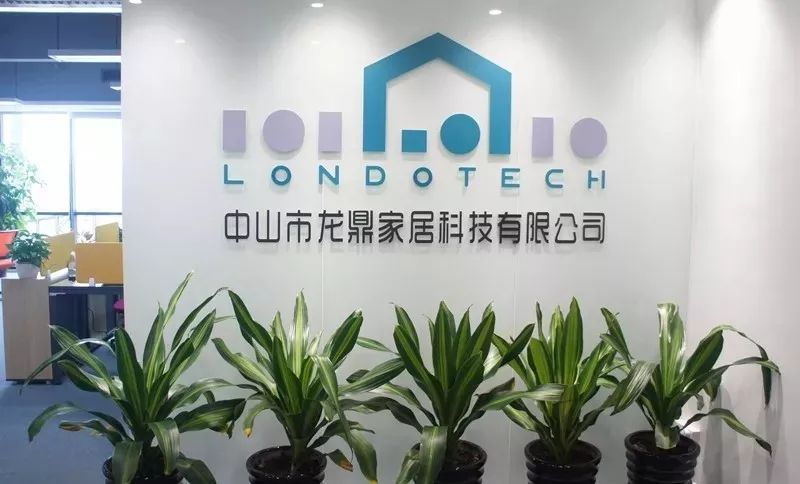 鼎龙科技，电子材料领域的创新先锋，涉足云计算与大数据的技术巨头