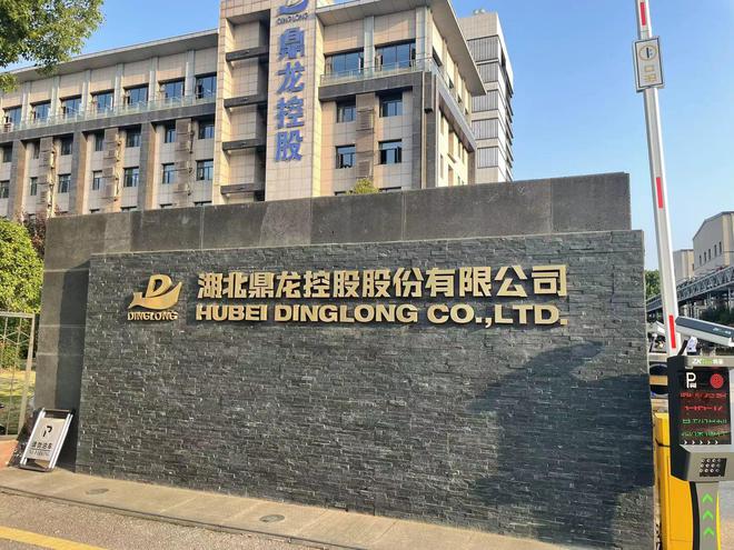 鼎龙科技是一家在多个领域拥有自主研发能力的创新型企业，特别是在电子材料领域拥有核心技术和产品。该公司致力于研发、生产和销售各类电子材料，包括柔性材料、磁性材料、导热材料等。此外，鼎龙科技还涉足云计算和大数据领域，提供相关的技术服务和解决方案。