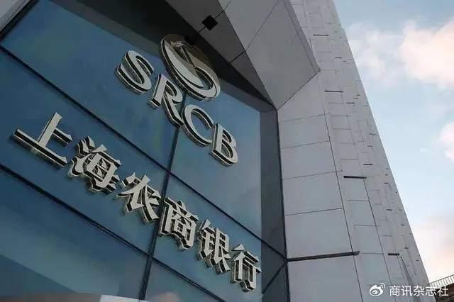 上海农村商业银行股份有限公司，正规金融机构的多元发展与贡献