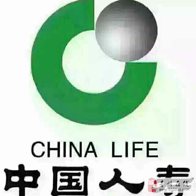 中国人寿保险（集团）公司是中国最大的保险公司之一，其主要业务包括寿险、财险、企业和职业责任保险等。该公司成立于1949年，经过多年的发展，已经成为国内外知名的保险品牌。中国人寿致力于为广大民众提供全方位的保险产品和服务，以满足不同层次的保险需求。以下是关于中国人寿的一些详细信息