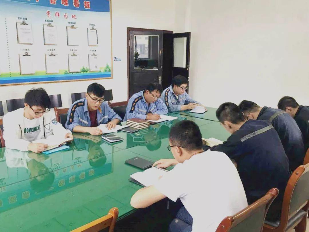 中国铝业集团有限公司，全球领先的氧化铝生产与巨头