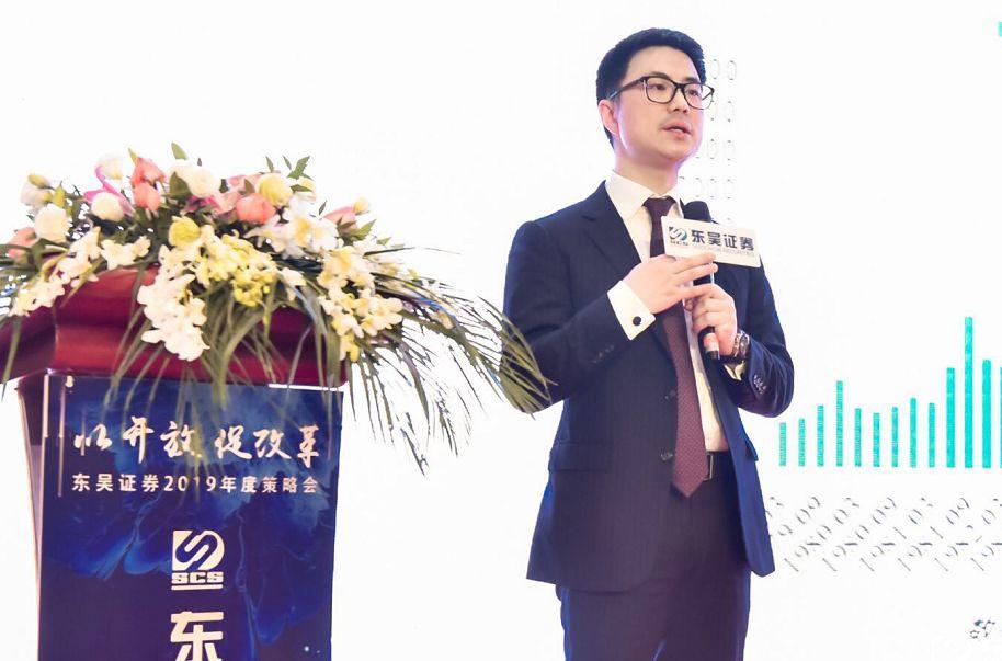 东吴证券，中国证券业的翘楚，深度解析其影响力与业务布局