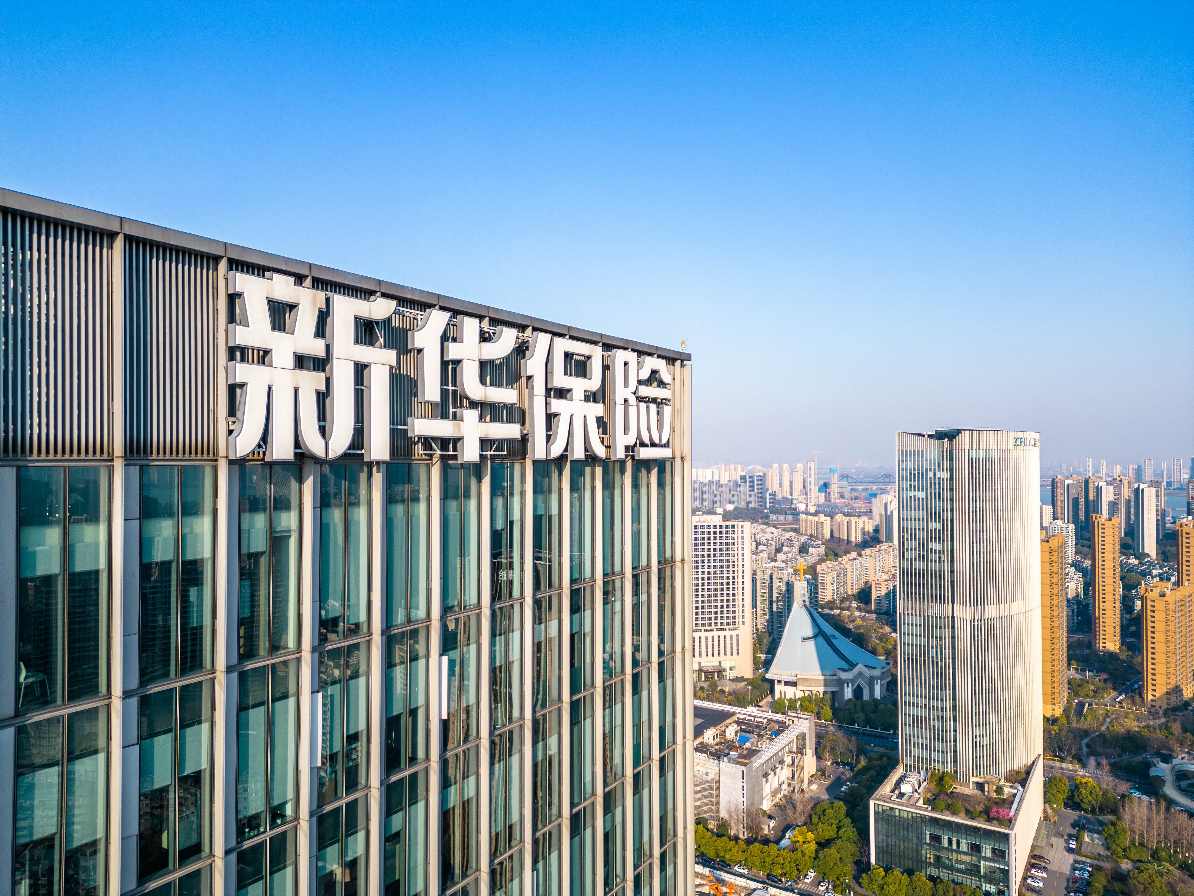 新华保险成立于1996年，是一家大型保险公司，总部设在北京。其主要经营范围包括各类人身保险业务，如寿险和健康险等。经过多年的发展，新华保险在全国范围内拥有广泛的客户基础和较高的市场份额。
