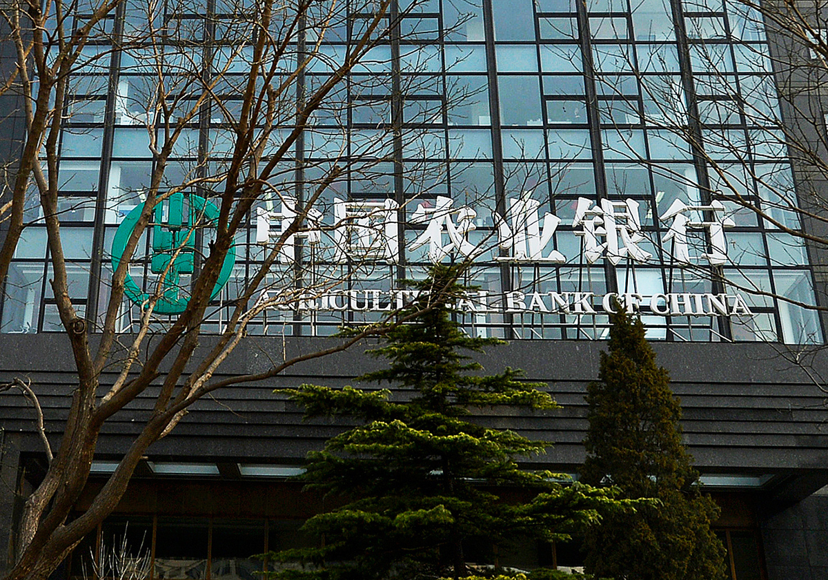 农业银行是中国的一家国有大型银行，全称为中国农业银行。其主要业务包括存款、贷款、理财、汇款等金融服务。农业银行在全国范围内拥有广泛的分支机构和服务网络，为广大客户提供全方位的金融服务。