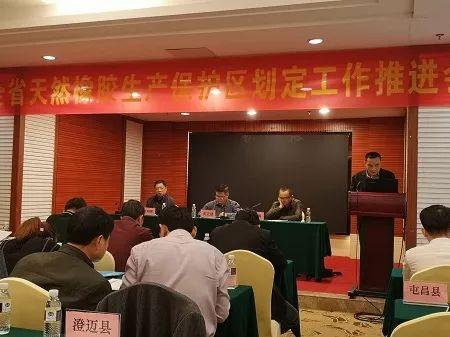 海南橡胶，即中国海南橡胶集团有限公司，成立于上世纪五十年代初，是中国最大的天然橡胶生产供应商之一。该公司集橡胶种植、加工、销售和科研为一体，拥有完善的产业链和强大的技术创新能力。海南橡胶在国内外市场上享有较高的声誉和影响力。以下是关于海南橡胶的一些详细介绍