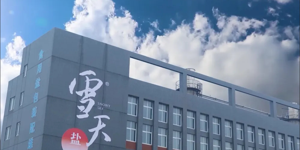 雪天盐业是一家主要从事盐及盐化工产品的研发、生产和销售的公司。该公司产品涵盖食盐、工业盐及盐化工产品等品类，是中国重要的盐业生产和销售企业。以下是关于雪天盐业的一些详细信息