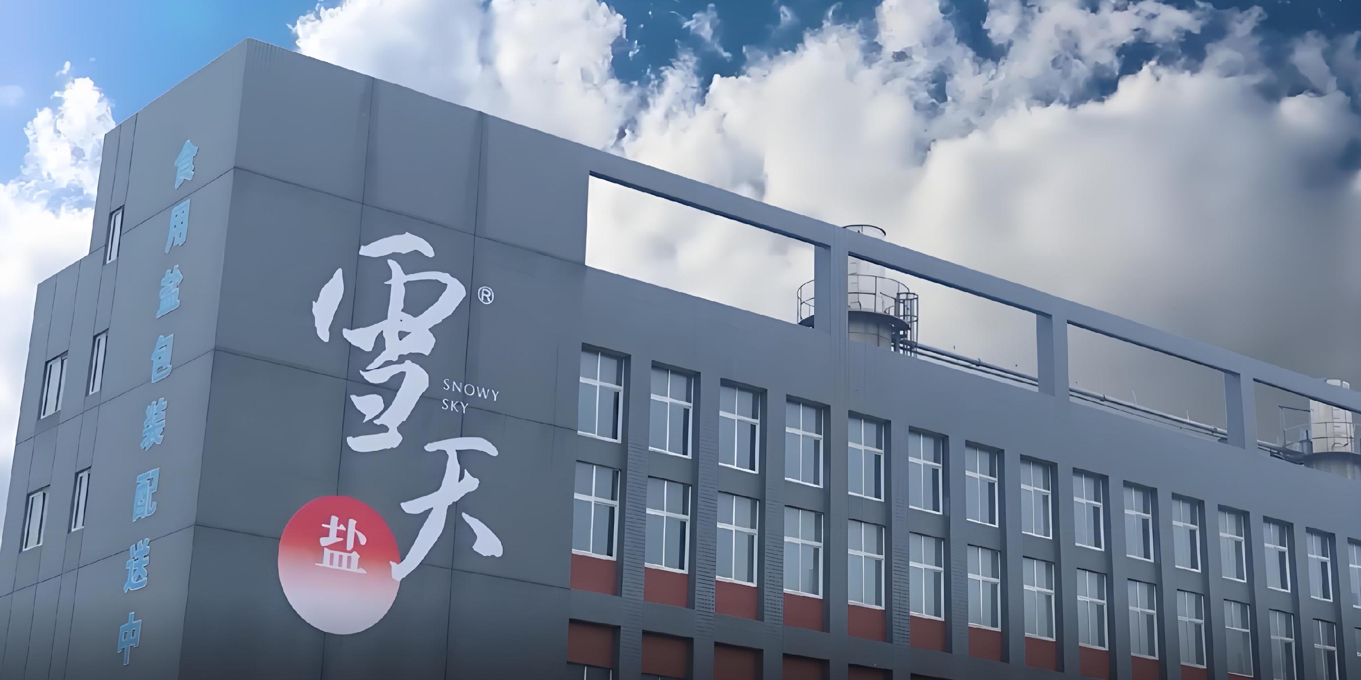 雪天盐业是一家主要从事盐及盐化工产品的研发、生产和销售的公司。该公司产品涵盖食盐、工业盐及盐化工产品等品类，是中国重要的盐业生产和销售企业。以下是关于雪天盐业的一些详细信息