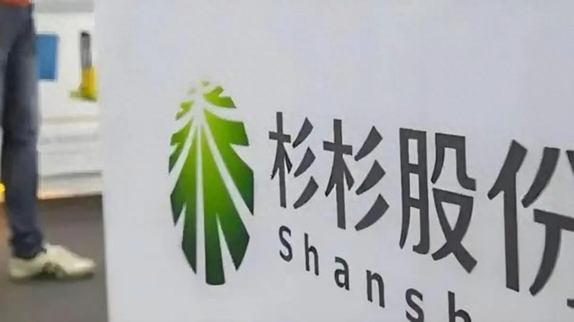 杉杉股份，锂电池材料、新能源与服装领域的综合性企业介绍
