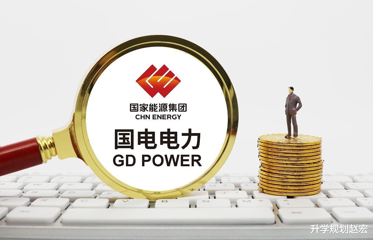 国电电力发展股份有限公司是国家能源集团旗下的上市公司，前身为始创于1998年的原国家电力公司电力发展公司。经过多年的发展，该公司已经成为一家在电力产业价值链各环节全面覆盖的知名企业。其主要业务包括电源开发、电力生产和销售，以及新能源开发等。该公司拥有火电、水电、风电等多种类型的电源结构，致力于为客户提供安全、可靠、高效的电力供应服务。此外，该公司还积极参与新能源领域的发展，推动清洁能源的应用和推广。总体来说，国电电力在电力行业中具有较高的知名度和影响力。