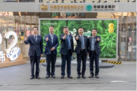南京熊猫电子股份有限公司，电子产品制造的领军企业