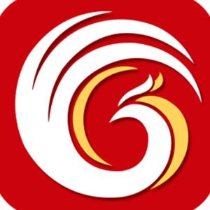 凤凰股份是一家在江苏地区较为知名的综合性企业，主要涉及房地产、金融等多个领域。以下是关于凤凰股份的一些详细信息