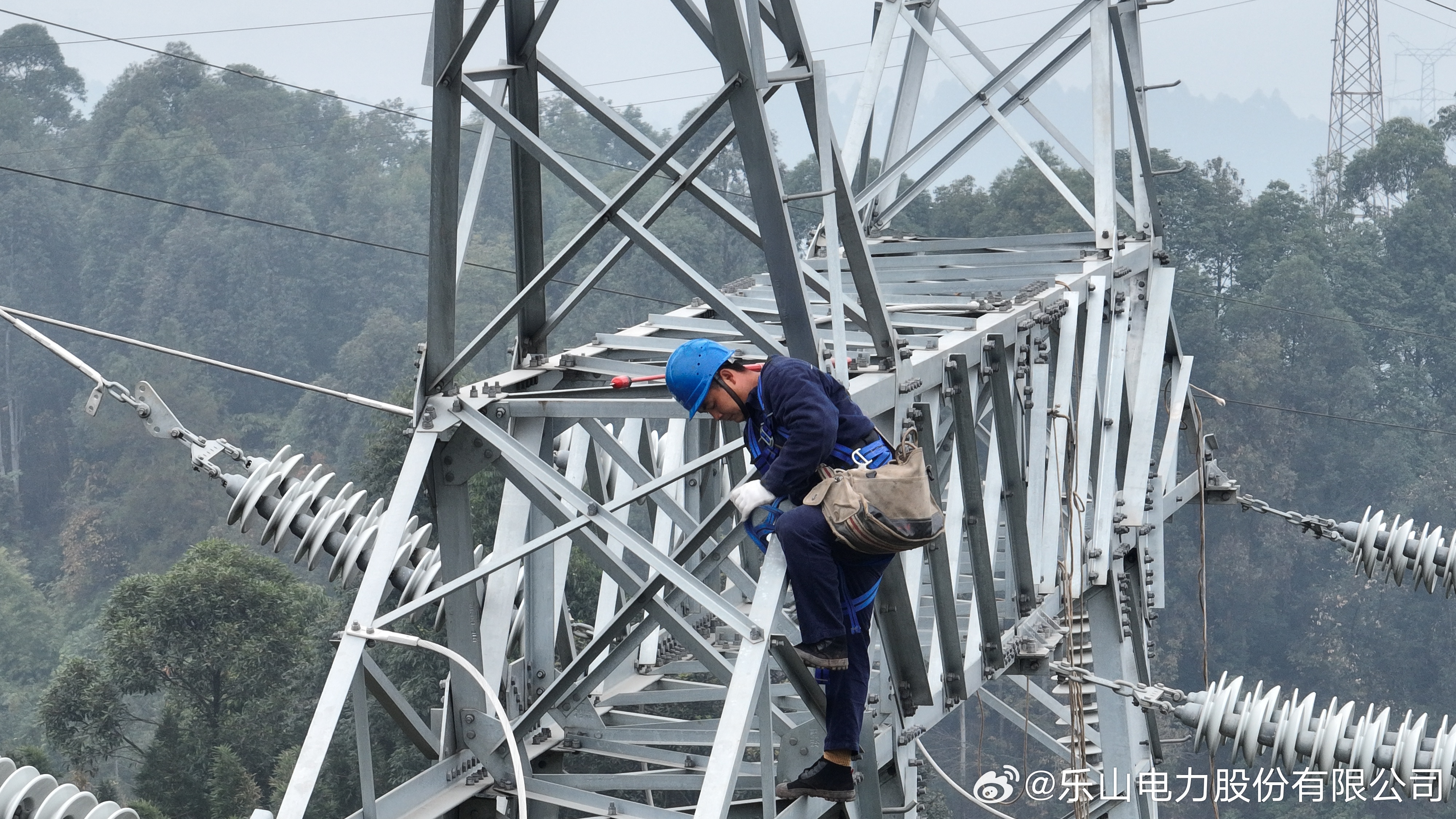 乐山电力，乐山市电力业务领军者及多元投资领域的佼佼者
