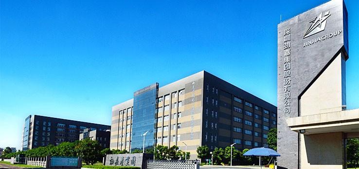 龙头股份，纺织服饰领域的领军企业，拓展高端医疗与进出口贸易的多元化发展之路。