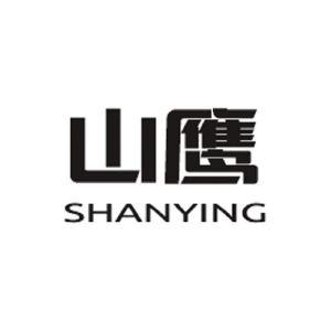 山鹰国际集团有限公司是一家总部位于江苏的综合性集团公司，成立于上世纪七十年代，经过几十年的发展，已经成长为拥有上百亿元资产规模的企业。其主要业务领域包括包装印刷、纺织印染、化工建材等。此外，该公司在国内外拥有数十家子公司，并在全球范围内拥有较大的影响力。