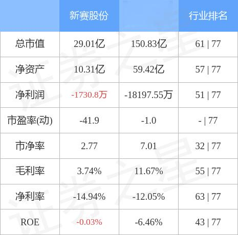 关于新赛股份，有以下内容供参考