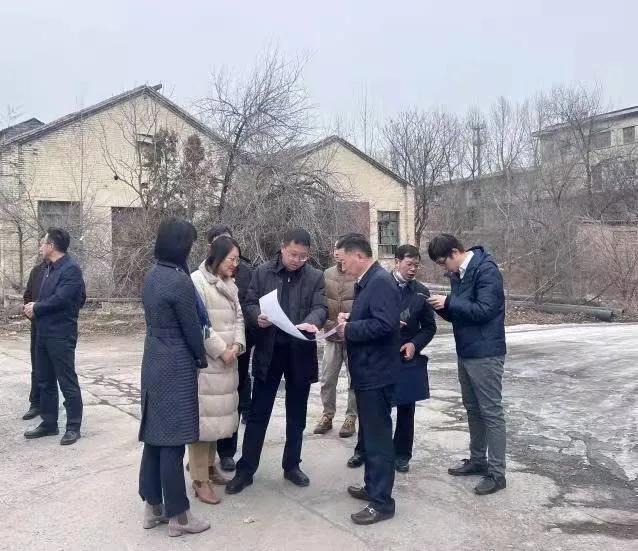 狮头股份，全面解析公司名称、股票代码及业务范围等详细信息