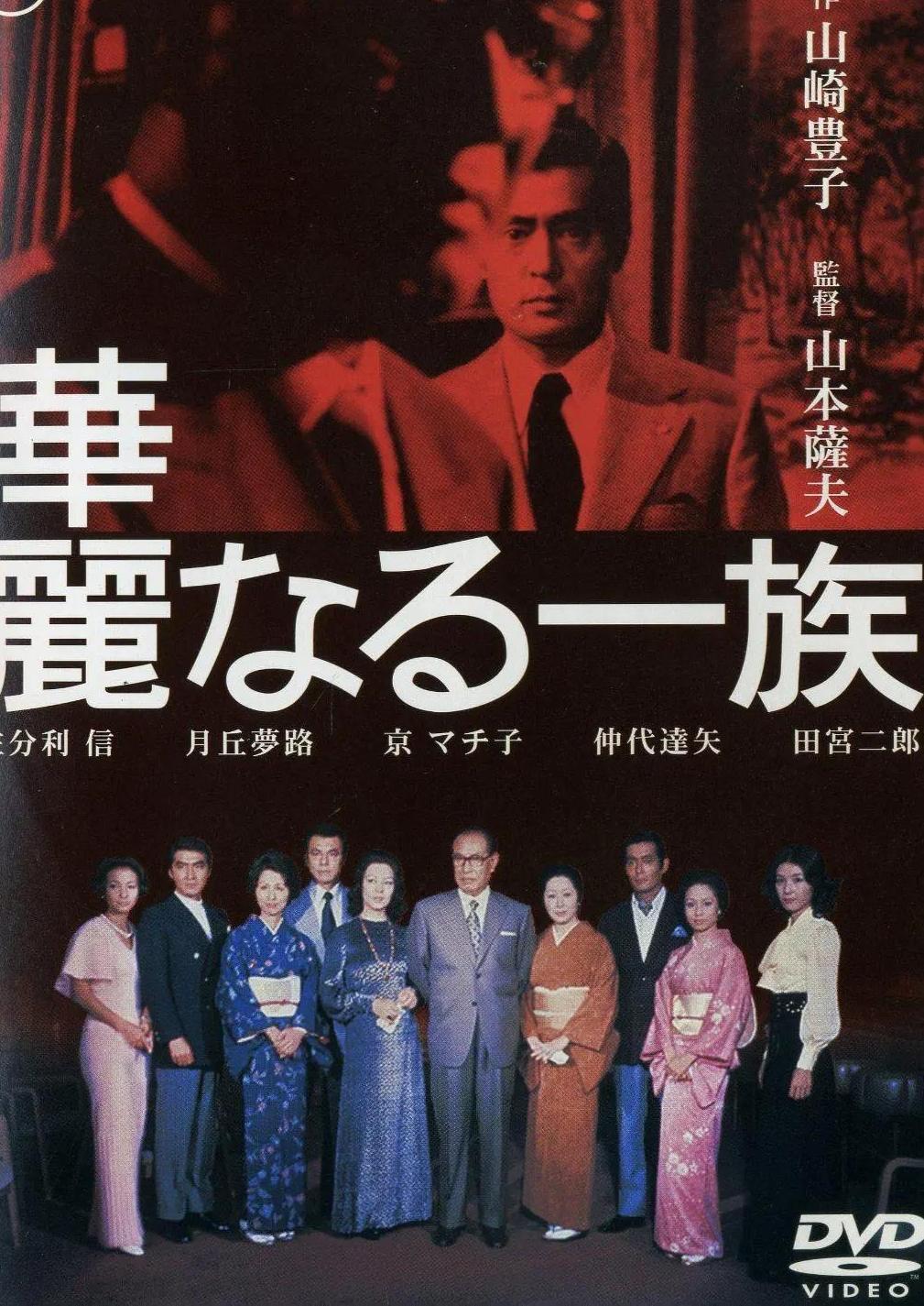 华丽家族，家族危机中的智慧复兴之路，揭示现代都市生活的挑战与困境。
