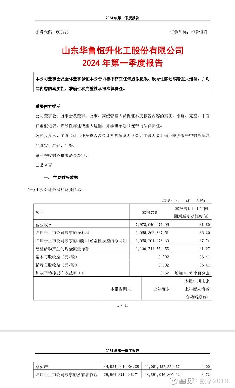 华鲁恒升，实力雄厚、多元化业务的化工企业领军者