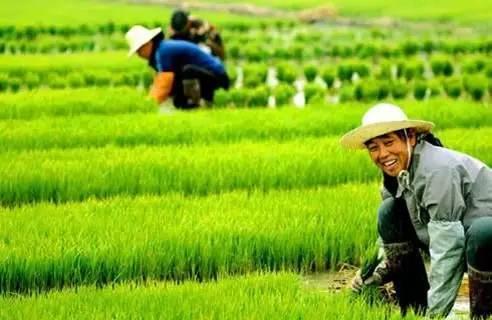 新农开发通常指的是新农村的开发建设，这是中国政府为了改善农村面貌、提高农民生活水平而实施的一项政策。