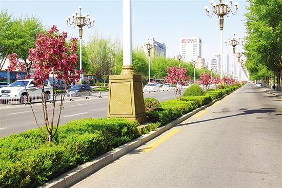 城建发展的多元领域与趋势展望